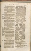 Seite 1454