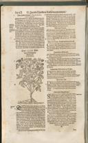 Seite 1457