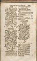 Seite 1458
