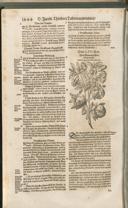 Seite 1459