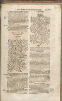 Seite 1462