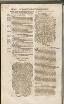 Seite 1463