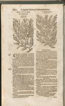 Seite 1465