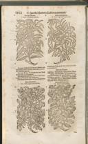 Seite 1467
