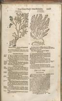 Seite 1468