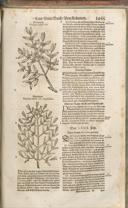 Seite 1470