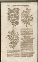 Seite 1471