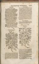 Seite 1472