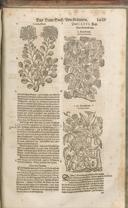 Seite 1474