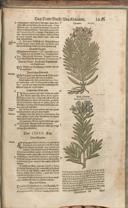 Seite 1480