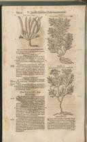 Seite 1481