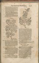 Seite 1482