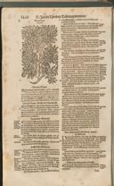 Seite 1483