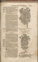 Seite 1484
