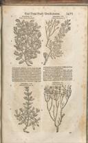 Seite 1486