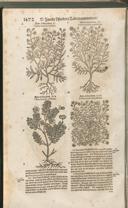 Seite 1487