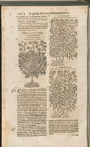 Seite 1489