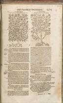 Seite 1490
