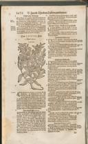 Seite 1491