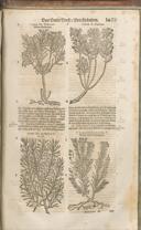 Seite 1494