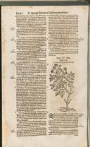 Seite 1495