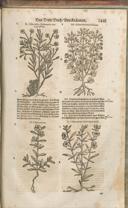 Seite 1496