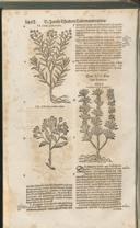 Seite 1497