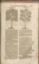 Seite 1498
