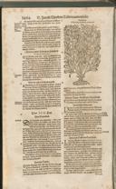 Seite 1499
