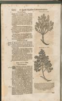 Seite 1501