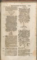 Seite 1502