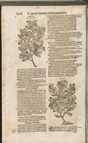 Seite 1503