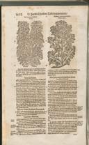 Seite 1507
