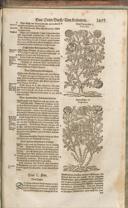 Seite 1508