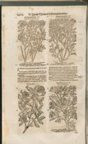 Seite 1509