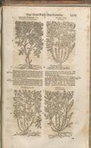 Seite 1510
