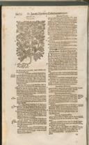 Seite 1511