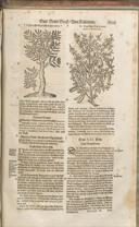 Seite 1516