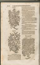 Seite 1517