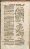 Seite 1518