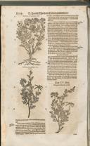 Seite 1519