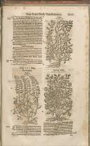 Seite 1520
