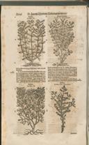 Seite 1521