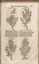 Seite 1522