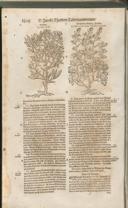 Seite 1523