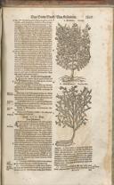 Seite 1524