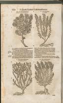 Seite 1525