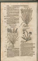 Seite 1527