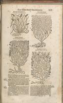 Seite 1528