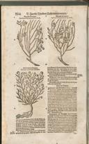 Seite 1529